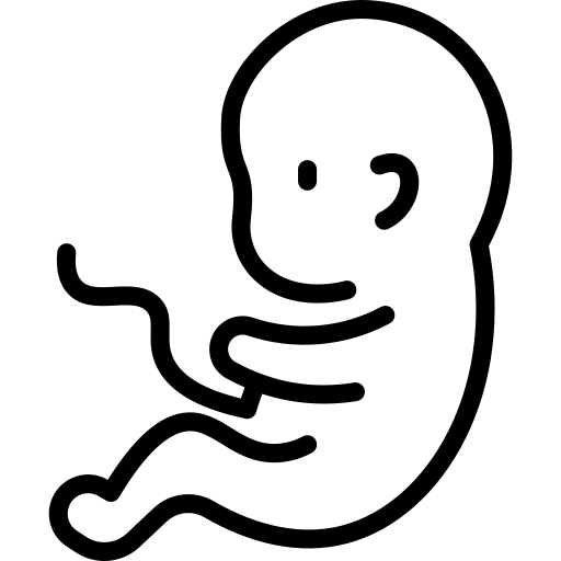 Ícone de embrião